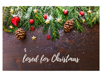 Annual Shut-down Guide Part 2